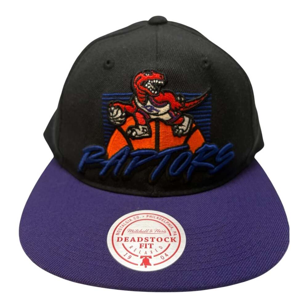 Mitchell & Ness Toronto Raptors Deadstock Fit Snapback Hat